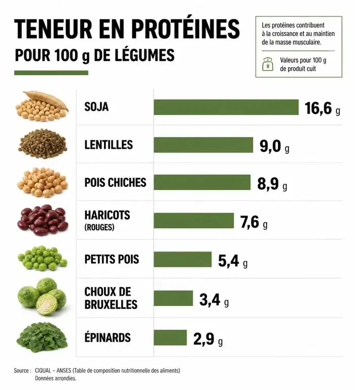 Infographie comparative des légumes riches en protéines et leur teneur nutritionnelle