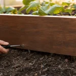 Quel bois pour un carré potager : robinier et châtaignier en bois brun pour planches épaisses